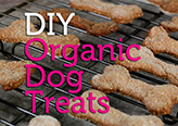 DIY Organic Dog Treats | Easy Recipe 