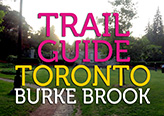 tuja's Guide to Toronto's Burke Brook Ravine