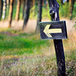 5 Tips to Stay on Track in 2013