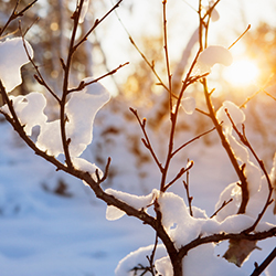 Sneaking Health in Unexpected Places: Winter